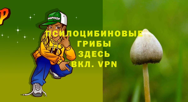 соль ск Алексин
