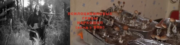 spice Грязи