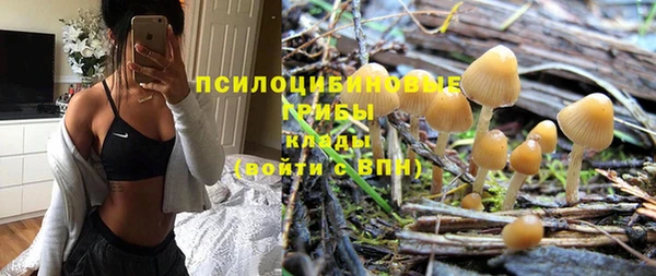 соль ск Алексин