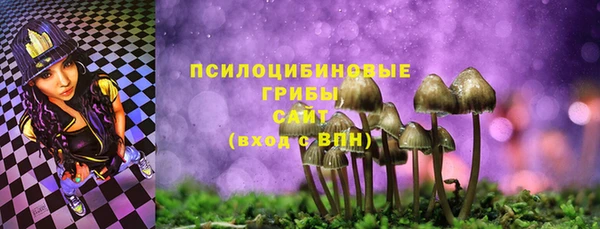 соль ск Алексин