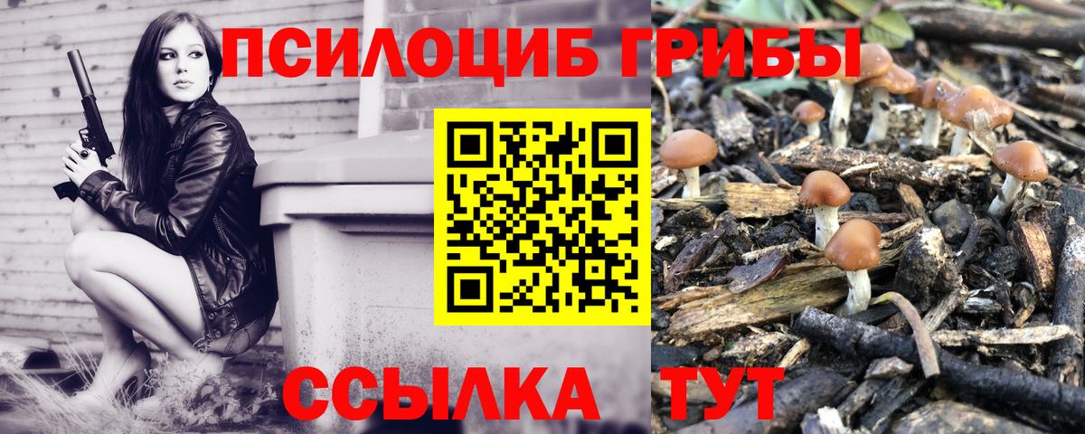 Галлюциногенные грибы Psilocybine cubensis  Вход с VPN  Коряжма 